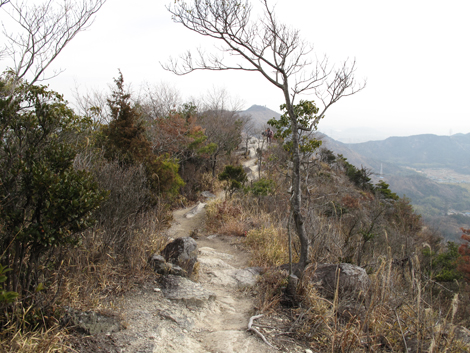 20140125hike (180)